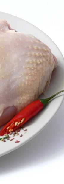 Recept csirke GusztaHús receptek