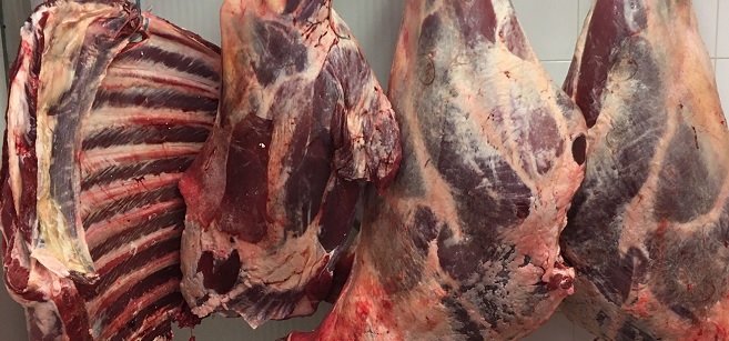 GusztaHús és a szürkemarha steak GusztaHús